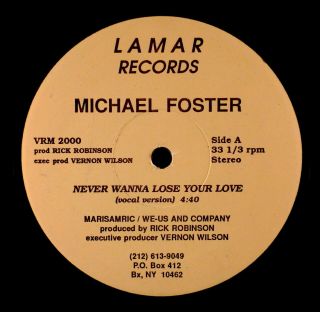 Michael Foster - Never Wanna Lose Your Love 12 " Rare Modern Boogie Lamar Ex Hear