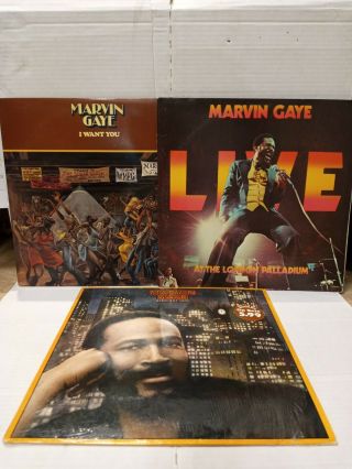 3 Marvin Gaye Records,  I Want You,  Live At The London Palladium,  Midnight Love.