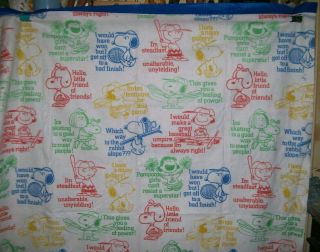 Vintage Peanuts Snoopy Blanket Peanuts All Sports By Chatham Twin/full