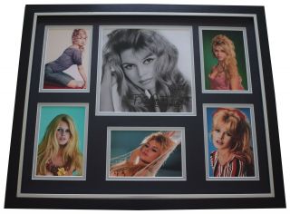 Brigitte Bardot Signed Framed Photo Autograph Huge Display Film Aftal &