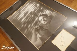 Vintage Robert Donat Photograph Framed Autograph