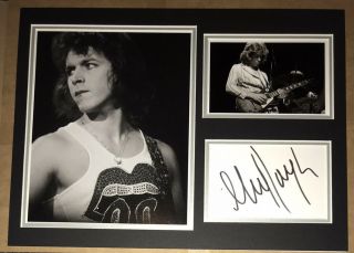 Signed Mick Taylor The Rolling Stones 16x12 Display Rare Mick Jagger Richards