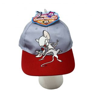 Vintage￼ Warner Bros Animaniacs Pinky And The Brain Snapback Trucker Hat 1995