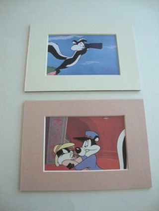 Pepe Le Pew & Penelope 5 X 7 Inches Print Prints Carrotblanca -