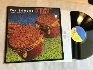 The Bongos Drums Along The Hudson Vinyl Lp Orig 1982 Pvc 8909 Richard Barone