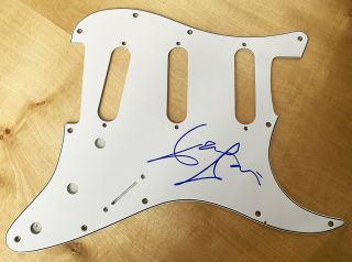 Dave Davies Signed Guitar Scratch Plate The Kinks Ray Davies Pick Guard
