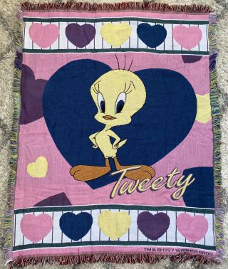 Vintage Looney Tunes Tweety Bird Throw Tapestry Fringe Blanket 1997 Hearts Pink