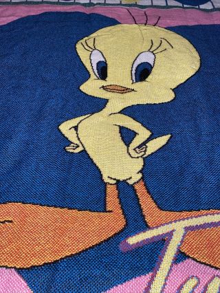 Vintage Looney Tunes TWEETY Bird Throw Tapestry Fringe BLANKET 1997 Hearts Pink 3