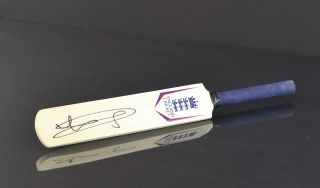 Jason Roy Signed Mini Cricket Bat England Autograph Memorabilia