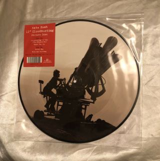 Kate Bush Cloudbusting / Under The Ivy.  12 " Picture Disc &