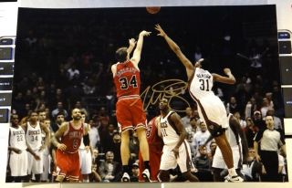 Mike Dunleavy Jr Chicago Bulls Atlanta Hawks Signed 8x12 Photo