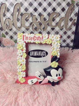 Animaniacs Picture Frame “i’m So Cute” - 3.  5 X 5 Picture