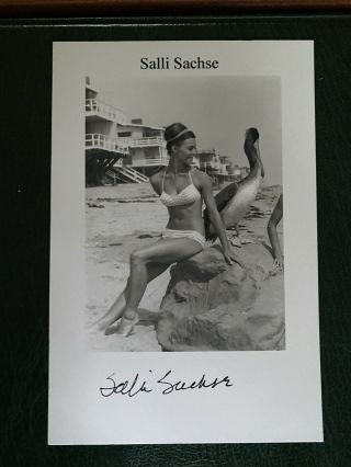 Salli Sachse 6x4 Photo Card Signed Autograph Pin Up 1960s Movie Beauty