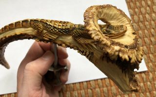 Carved Alligator Stag Horn Corkscrew W Head In Log