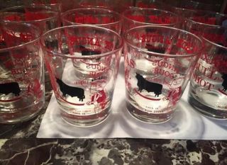 Set Of 4 Black Angus Restaurants And Lounges Texas Bull Shot Sour Glasses