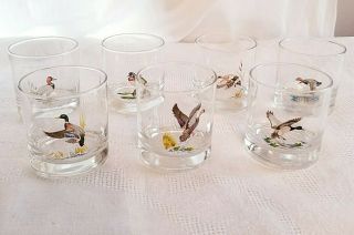 Set Of 7 Ned Smith Duck Glasses Barware Rock Whiskey 4 " Tall Bird
