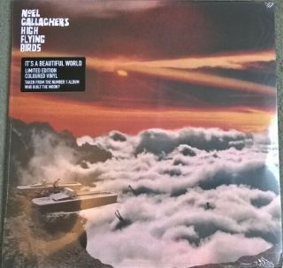 Noel Gallaghers High Flying Birds Coloured Vinyl 12 " It 