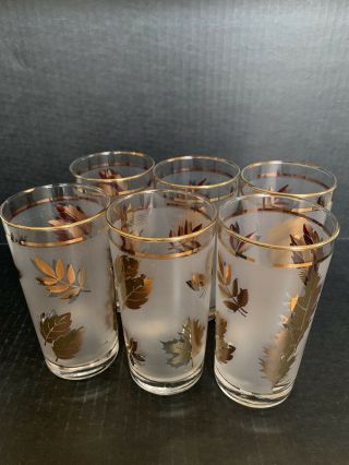 Set Of 6 Vintage Libbey Gold Leaf Frosted Glasses 5 - 1/2” Tall Vguc