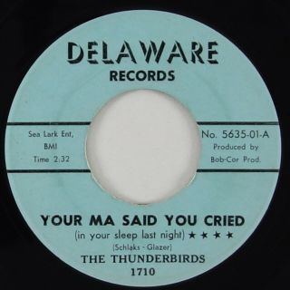 Thunderbirds " Your Ma Said You Cried (in Your Sleep. ) " Garage 45 Delaware Hear