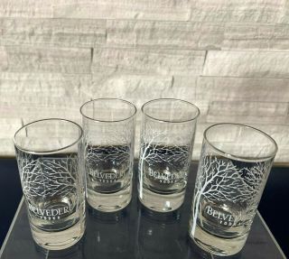 Set Of Four Glass Belvedere Vodka Satin Tree Shot Glasses - No Box