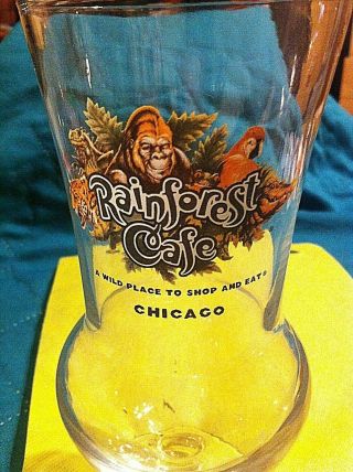 2004 Rainforest Cafe Chicago Hurricane Glass