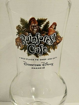 Rainforest Cafe Hurricane Souvenir Glass Cup Ca Downtown Disney Collectible