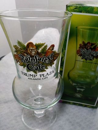 Rainforest Cafe Hurricane Cocktail Glass Tall.  Trump Plaza - Atlantc City