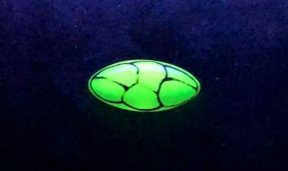 Antique Uranium Glass Button Glows Under Black Light Domed Marquis Shape