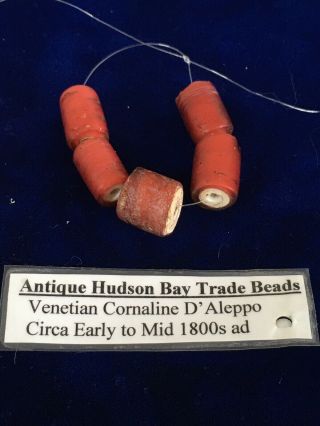 Antique African/hudson Bay Trade Beads Venetian Cornaline D 