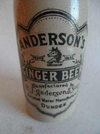 Scottish Anderson Dundee Pictorial Ginger Beer