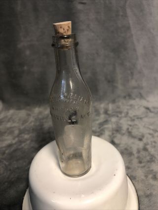 Taylor And Williams Whiskey Sample Mini Bottle Louisville Kentucky Early 1900s