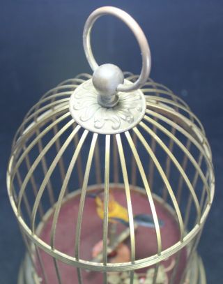 Automaton Singing Bird in Cage Music Box - German - Vintage - Parts/Repair 2