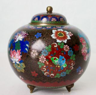 Antique Japanese Cloisonne Ginger Jar With Lid Meiji Period Ca.  1880 - 1910