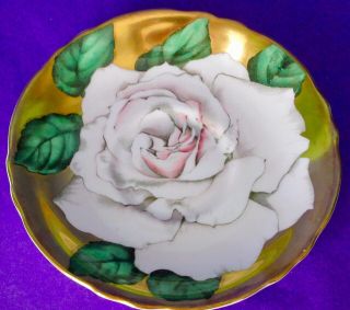 Paragon RARE Fancy Gold Humongous White Rose Fine Bone China Cup & Saucer 1950s 3