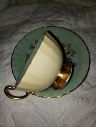 SPECTACULAR and RARE Aynsley Cabbage Rose Teacup and Saucer - SEAFOAM - SAGE 4