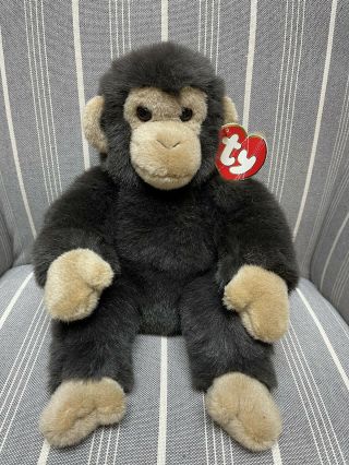 Ty Chuckles The Chimp Monkey Classic Plush Soft Stuffed Vintage 13” 1996 Rare