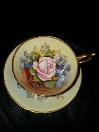 Spectacular - Rare Aynsley Cabbage Rose Teacup And Saucer Signed J A Bailey - Gold