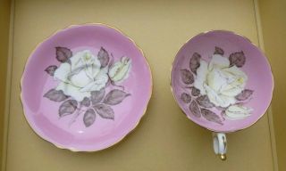 Rare Paragon Pink White Cabbage Rose Tea Cup & Saucer A277 Rare Set China