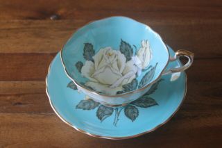 Rare Paragon Large Cabbage White Rose Turquoise Blue Tea Cup Teacup Saucer