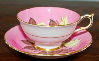 RARE PARAGON PINK WHITE CABBAGE ROSE TEA CUP & SAUCER 4