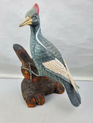 Rare Vintage Ivory Billed Woodpecker 9.  75 " Hand Carved Sculpted Decoy By H.  K.