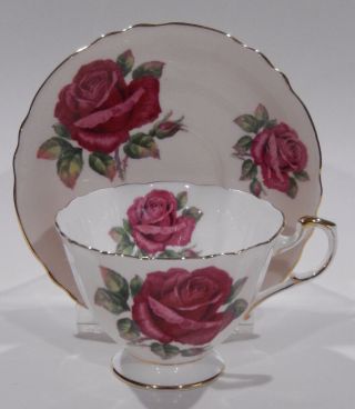 Rare Paragon Johnson Floating Red Rose Cup & Saucer Pink Colorway C1957 - 1960