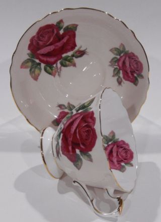 Rare Paragon Johnson FLOATING RED ROSE CUP & SAUCER Pink Colorway c1957 - 1960 5