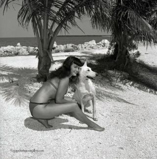 Bettie Page Rare1954 Camera Negative Bunny Yeager Estate Bikini Posed With Dog