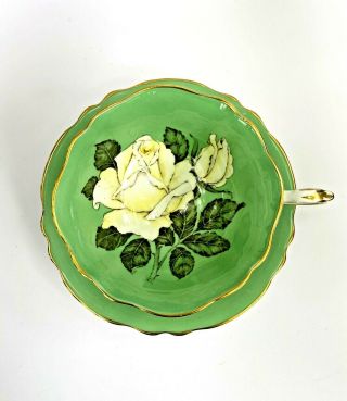PARAGON CABBAGE ROSE TEA CUP & SAUCER Rare Green and White 3