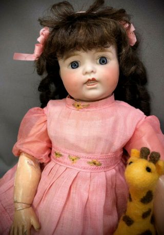 Rare Grinnie French Lanternier Antique Doll Jumeau Body - Toto Type Bisque Head
