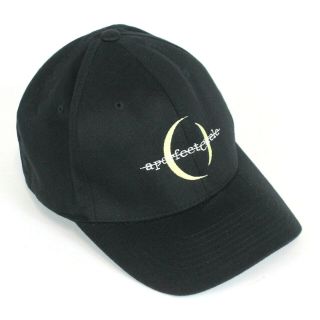 A Perfect Circle 2004 Tour Hat Concert Cap Yupoong Size L/xl Maynard Keenan Rare