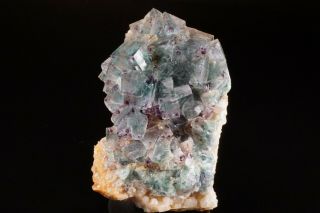 Rare Locale Fluorite Crystal Cluster Redstone,  Hampshire - Ex.  Lemanski