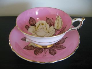 Rare Pink Paragon White Large Cabbage Rose Bottom Tea Cup And Saucer