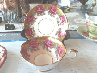 Rare Paragon Cabbage Rose Tea Cup & Saucer